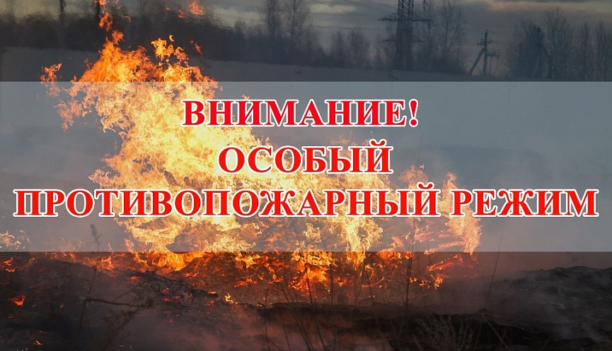 В целях обеспечения пожарной безопасности с 01 июля 2025 года на территории всей Томской области продолжает действовать особый противопожарный режим.