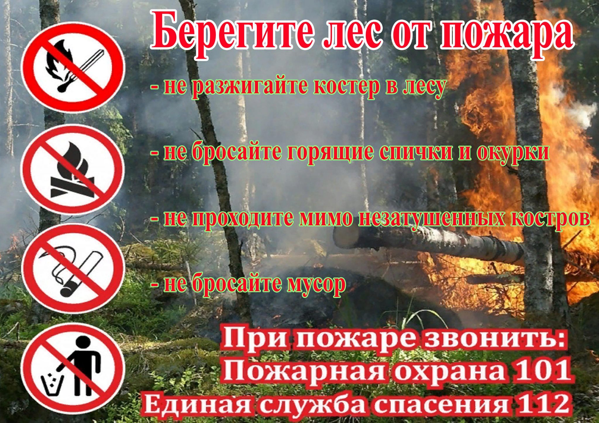 Главная причина лесных пожаров - человек!.