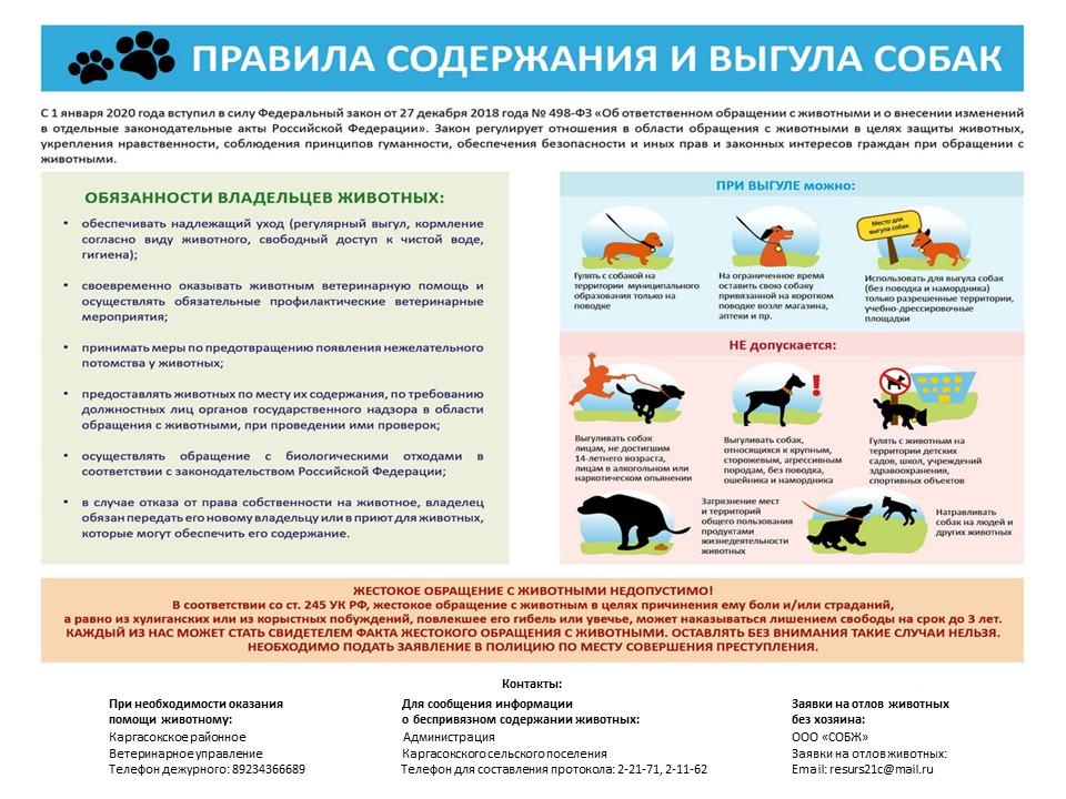 Ответственное отношение к своим домашним питомцам.