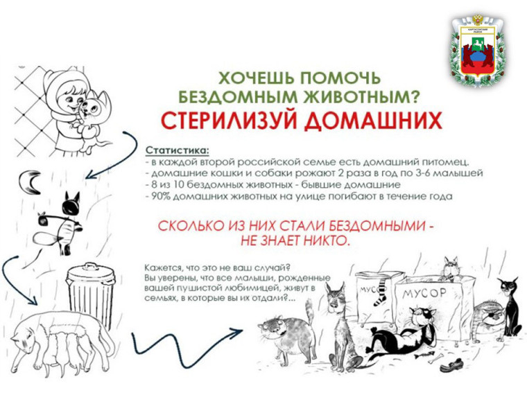 Бездомные животные: решение есть!. Бездомные животные: решение есть!.